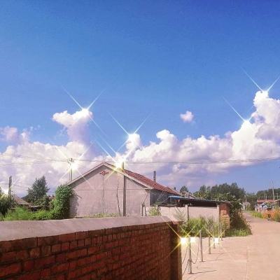 722cc彩票下载手机版